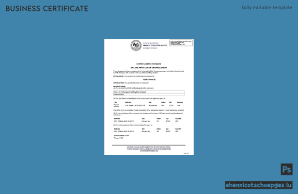 USA, New Mexico: Online-Gründungsdokumente (Word- und PDF-Beispiel)